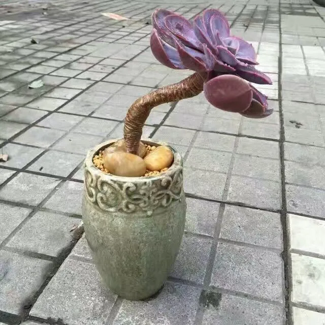 Heimische Blumenvase Karnz