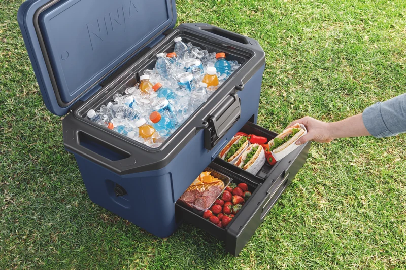 Ninja FrostVault 47L Hard Cooler with Dry Zone - Lakeshore Blue