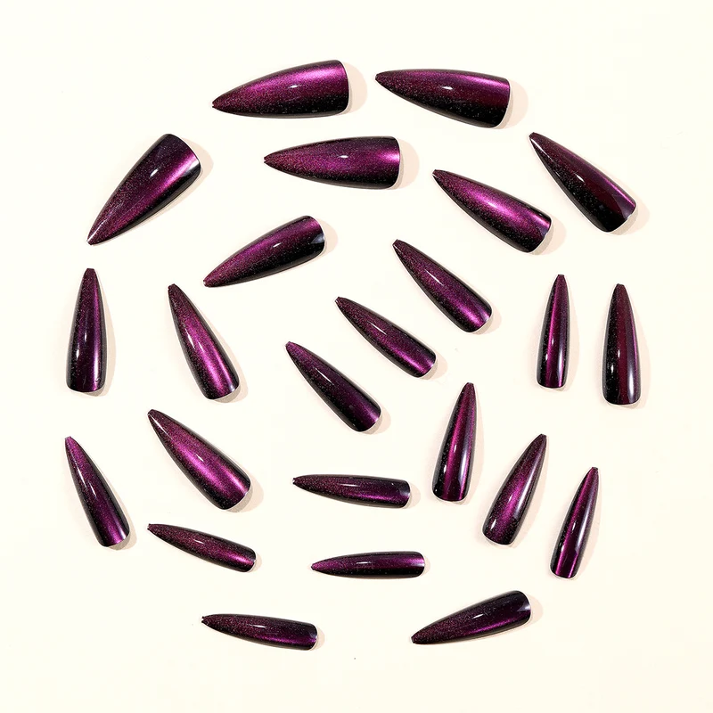 Glänzende Stiletto-Nagelverlängerungen Karnz