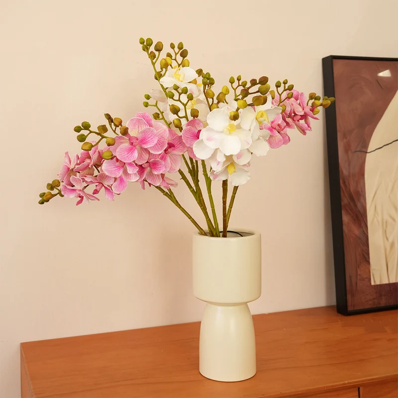 Elegante Orchideen-Stängel Karnz