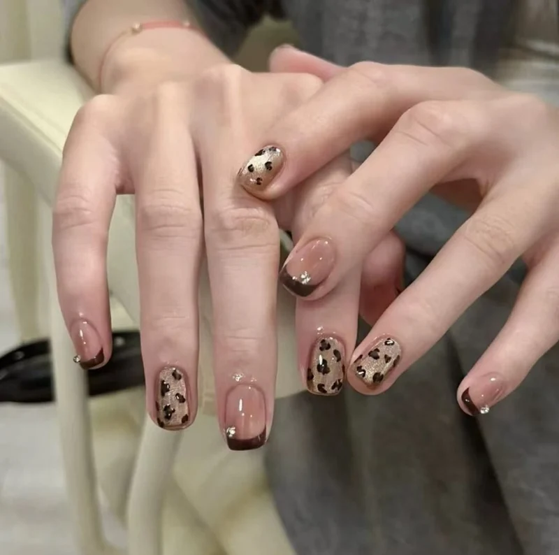 Künstlerische Katzen- und Hundethemen-Nagelverlängerungen Karnz