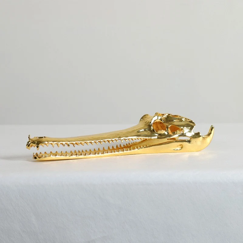 Dekorative Krokodilsschädel Skulptur