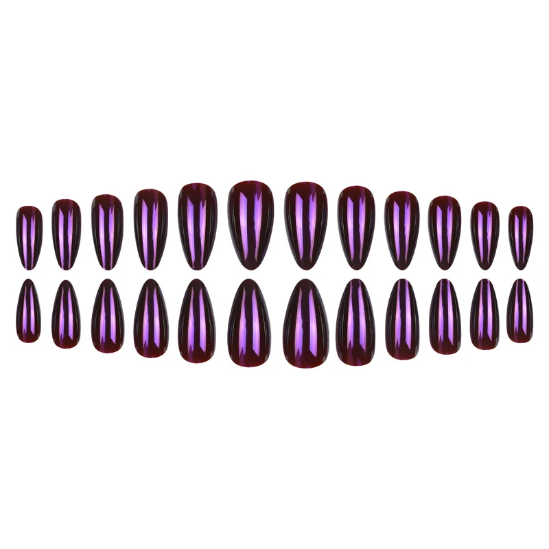 Glänzende lange Stiletto-Nagelkunst Karnz