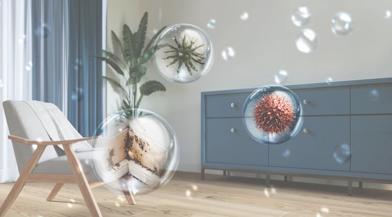 Philips 3000 Series Air Dehumidifier