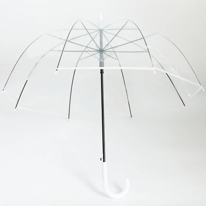 Damen transparenter Regenbogen Karnz