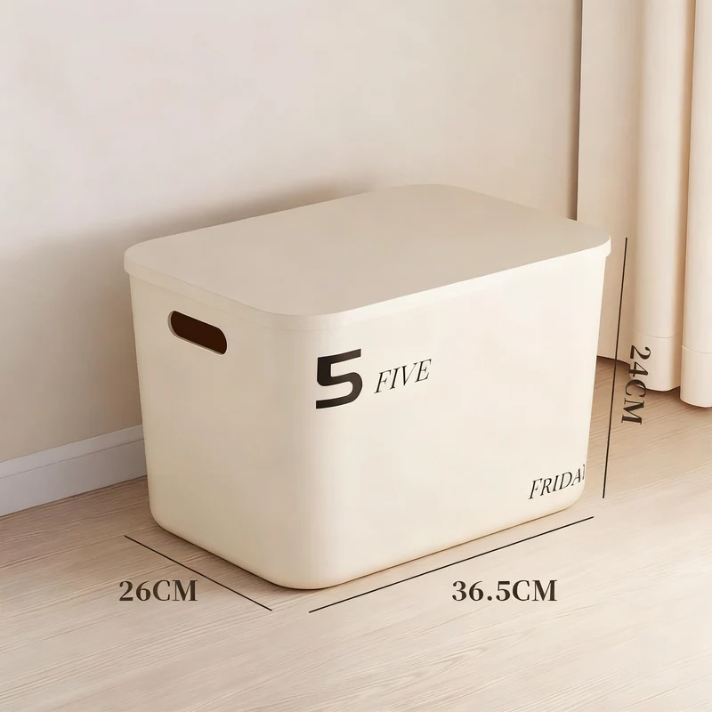 Kunststoff-Aufbewahrungsbox mit Deckel, Mittelgröße